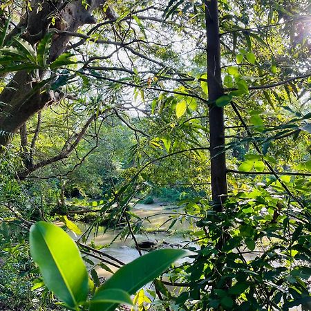 Yala Safari River View Hotel Tissamaharama Zewnętrze zdjęcie