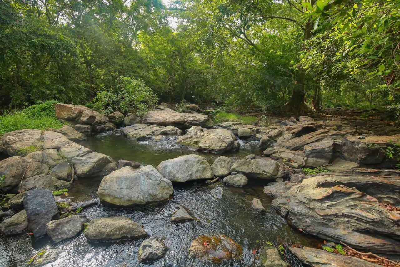 Yala Safari River View Hotel Tissamaharama Zewnętrze zdjęcie