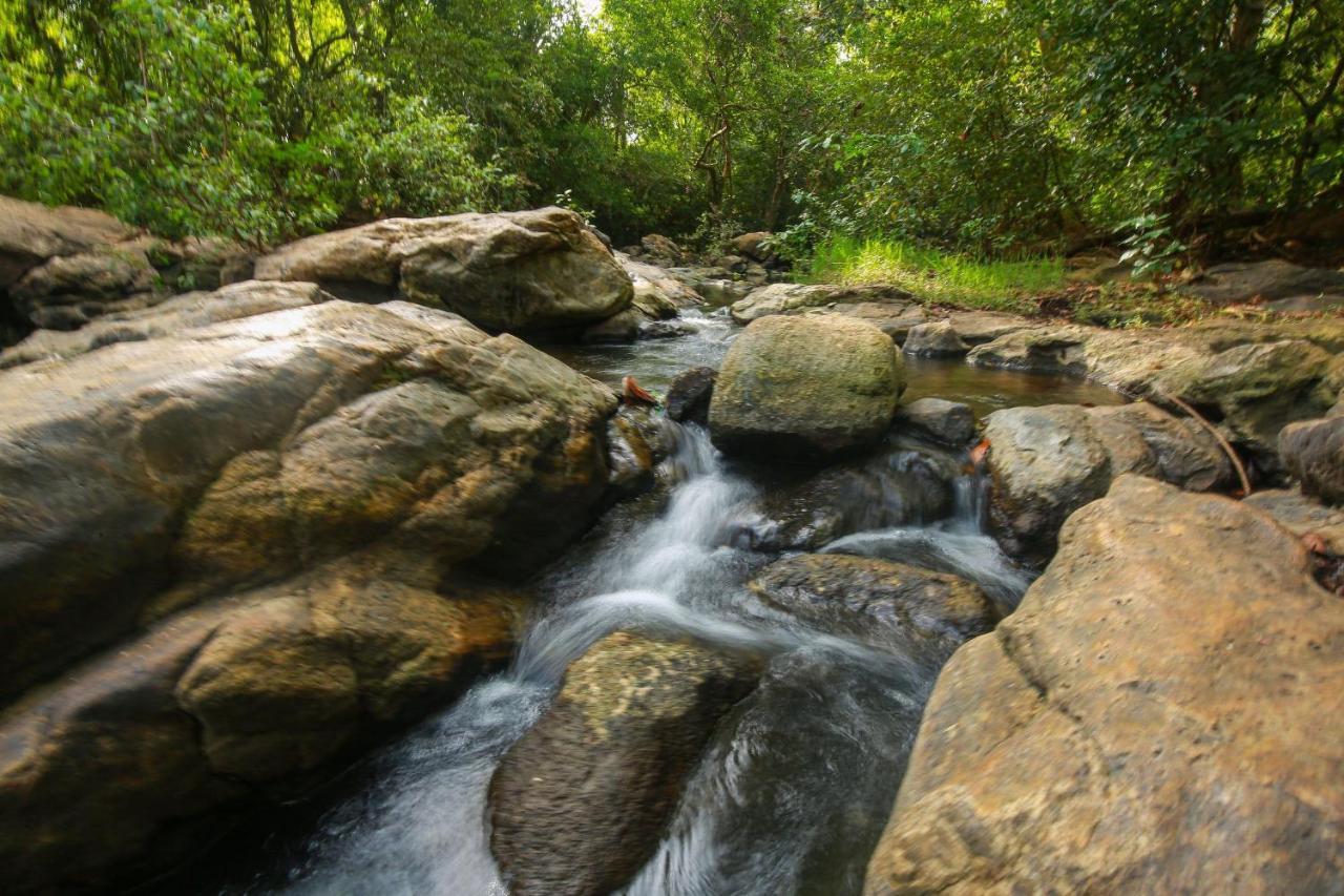 Yala Safari River View Hotel Tissamaharama Zewnętrze zdjęcie