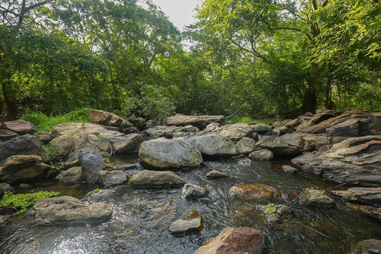 Yala Safari River View Hotel Tissamaharama Zewnętrze zdjęcie