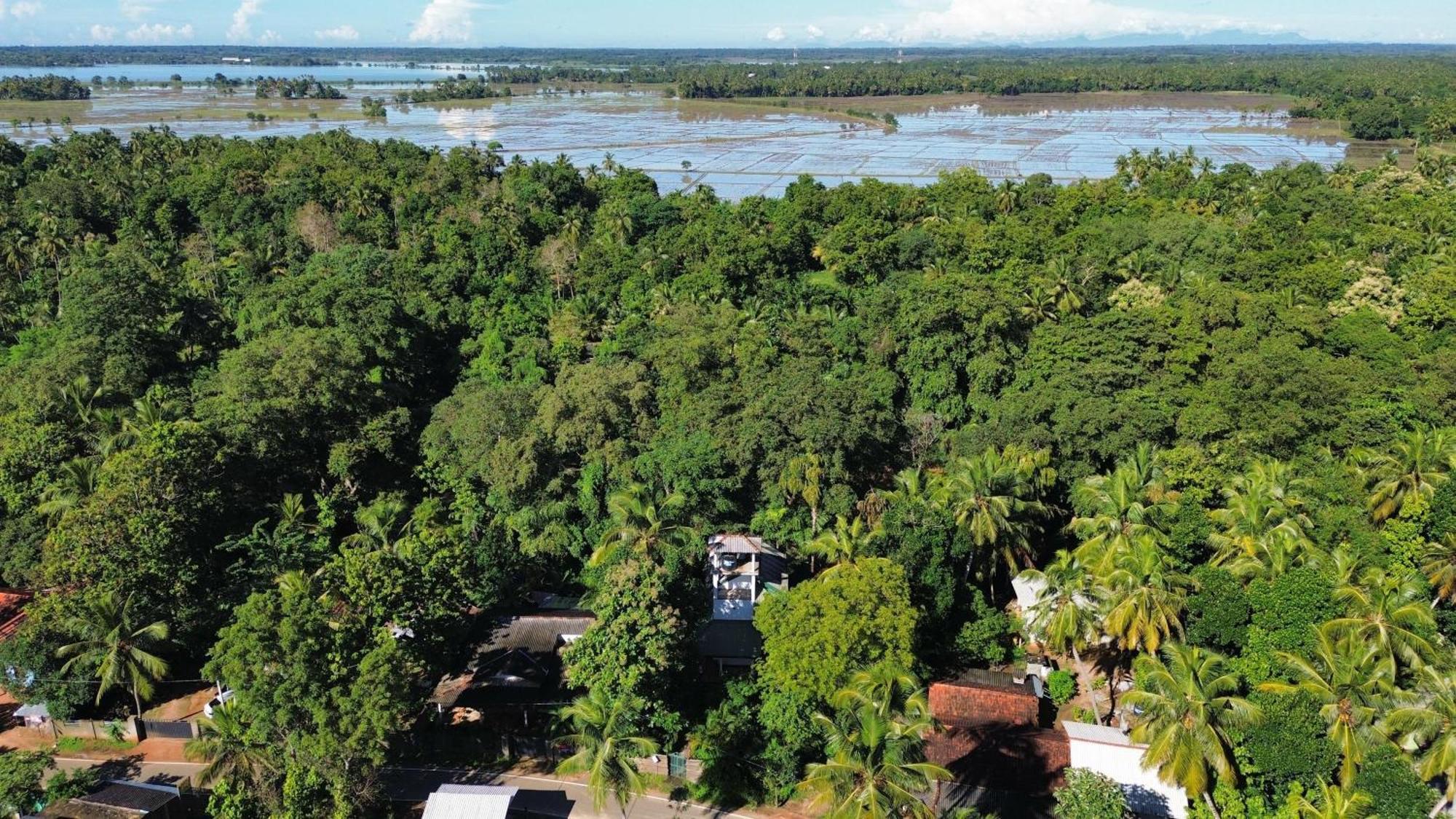 Yala Safari River View Hotel Tissamaharama Zewnętrze zdjęcie