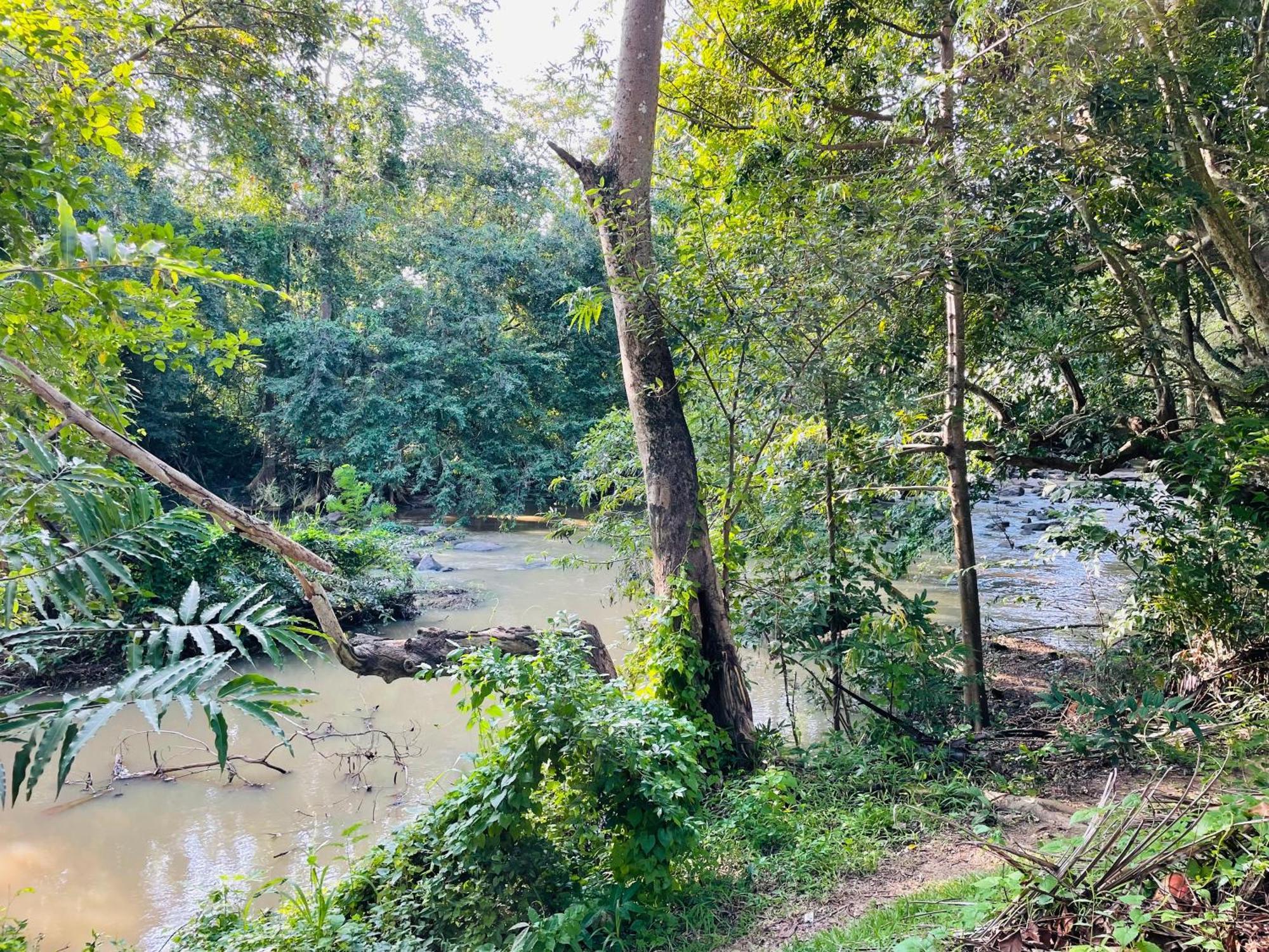 Yala Safari River View Hotel Tissamaharama Zewnętrze zdjęcie