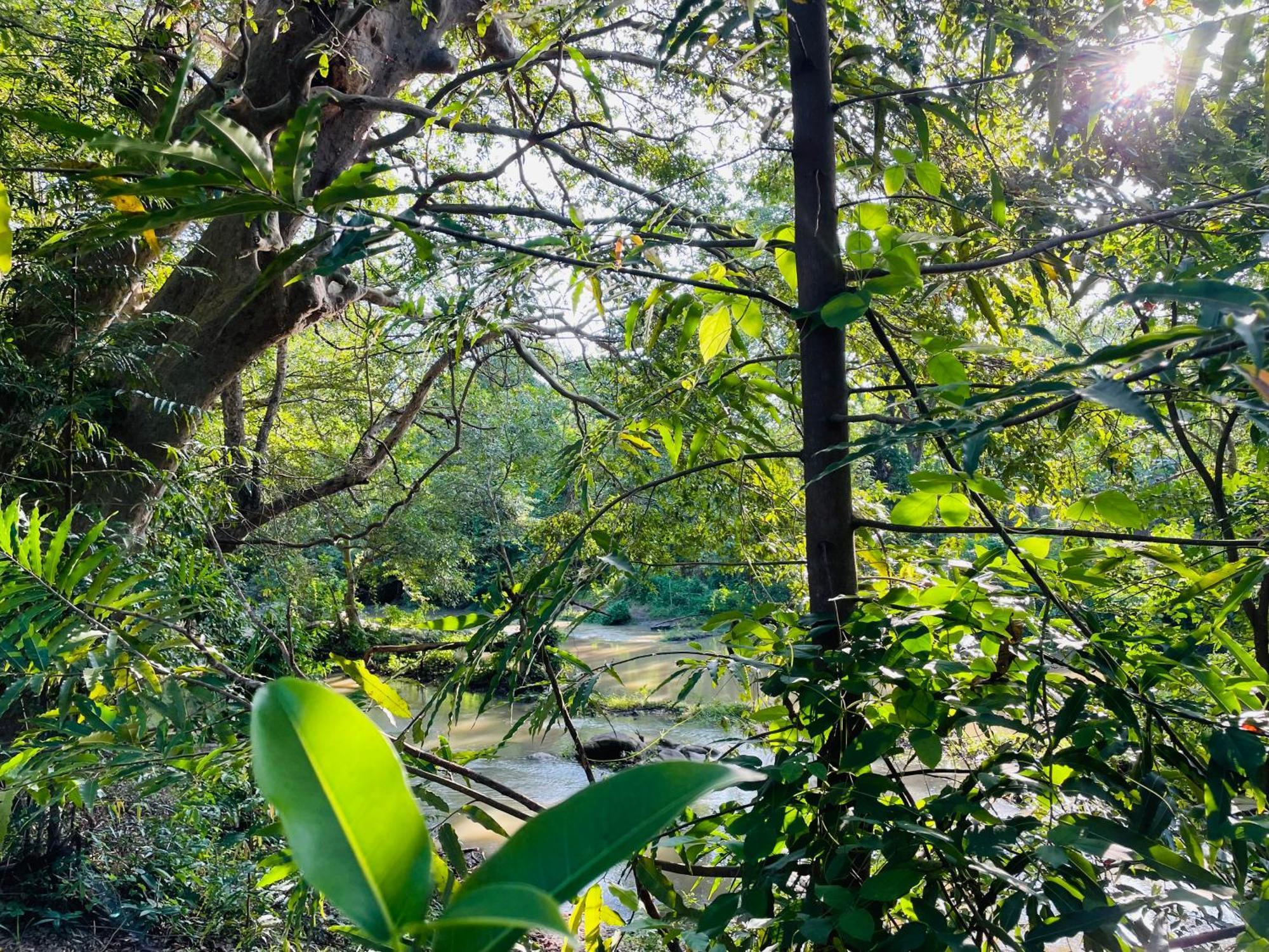 Yala Safari River View Hotel Tissamaharama Zewnętrze zdjęcie