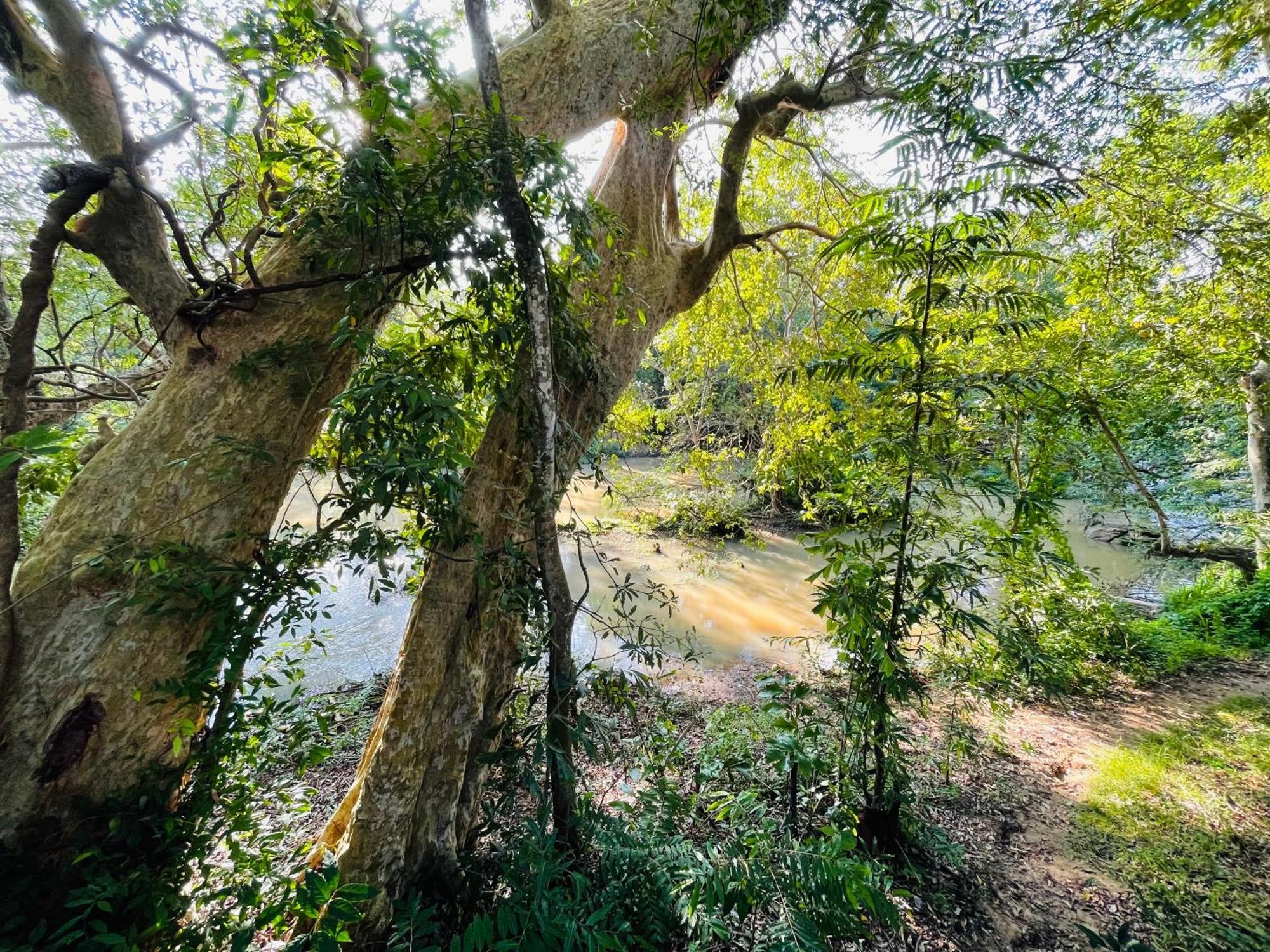 Yala Safari River View Hotel Tissamaharama Zewnętrze zdjęcie