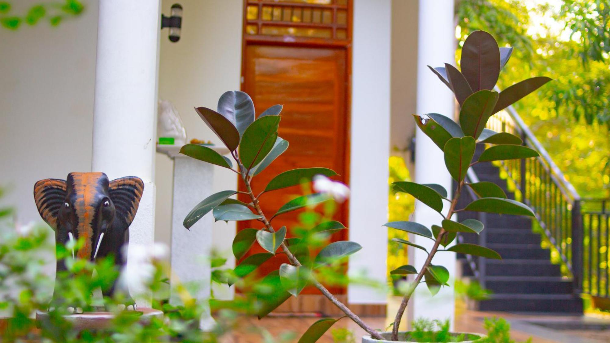 Yala Safari River View Hotel Tissamaharama Zewnętrze zdjęcie
