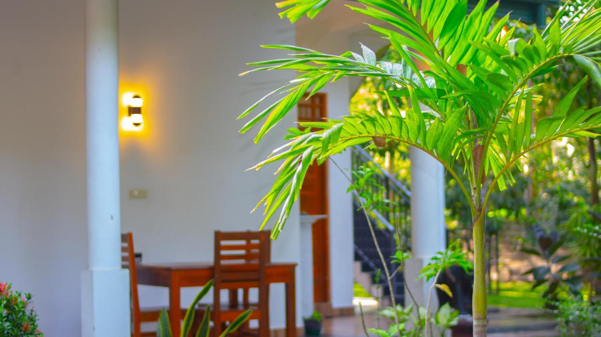 Yala Safari River View Hotel Tissamaharama Zewnętrze zdjęcie